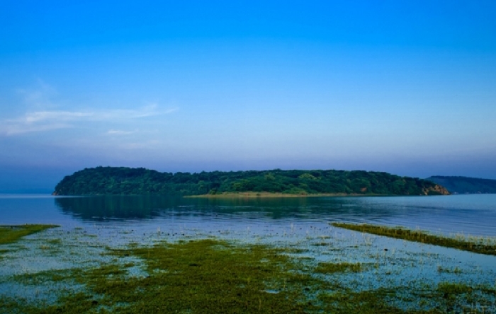 鄱陽湖生態經濟區規劃展示館升級...